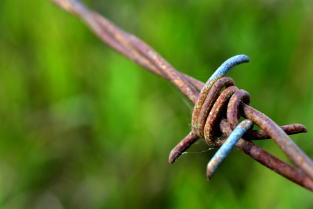 Barbed Wire Close Upの写真素材