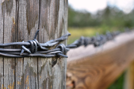 Barbed Wire Fence Abstractの写真素材