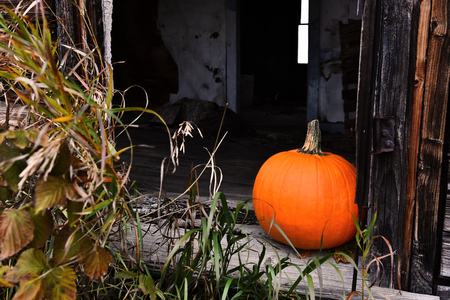 Pumpkin in a Creepy Old Doorway