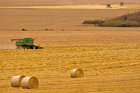 Combine harvester working in a wheat fieldの写真素材