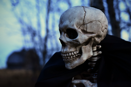 Creepy Halloween Skeletonの写真素材