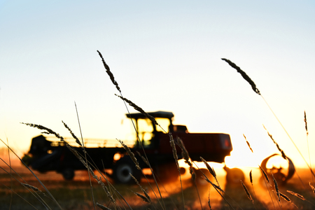 Agricultural Swather Silhouetteの写真素材
