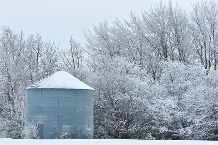 Grain Silos in Winterの写真素材