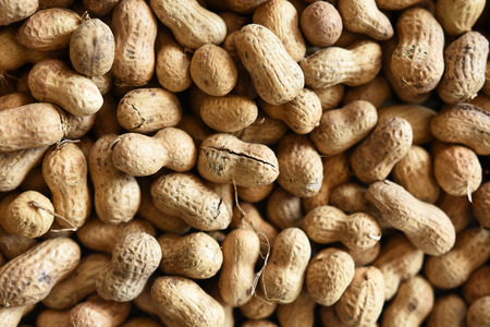 Roasted Peanuts Backgroundの写真素材