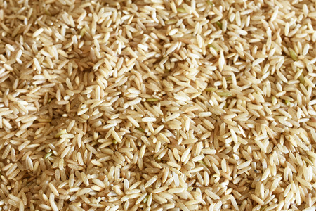 Long Grain Rice Close Up