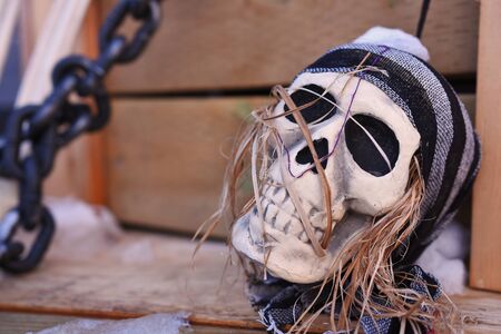 Halloween Pirate Skullの写真素材