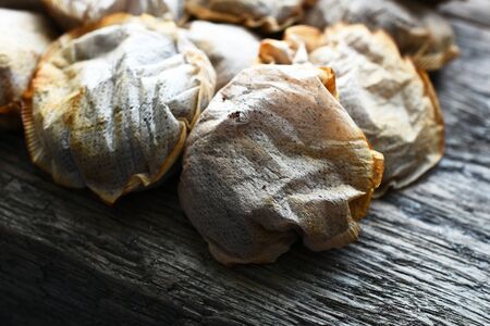 Old Used Teabags Close Up