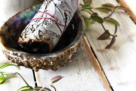 White Sage and Abalone Shellの写真素材