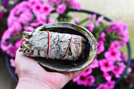 White Sage and Abalone Shellの写真素材