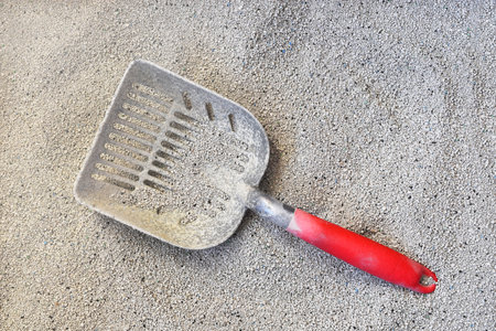 A top view image of fresh cat litter and a red handled pooper scooper.の写真素材