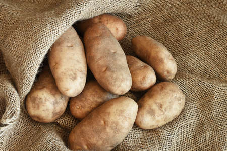 A top view image of large organic russet potatoes on a brown burlap sack.の写真素材
