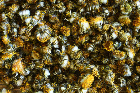 An abstract image of a pile of dried organic dandelion flowers.の写真素材