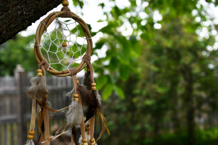 An image of a wooden dream catcher with brown feathers hanging on a tree branch.