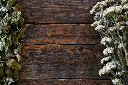A top view image of wood texture with yarrow and broadleaf plantain herbs for a border.の写真素材
