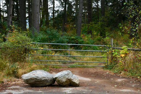 A closed metal gate blocking the entrance to a forest wilderness area.の写真素材