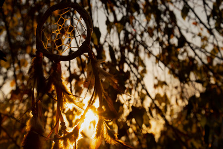 A golden back lit image of a handmade dream catcher at sunset.の写真素材