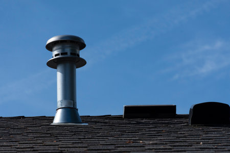 An image of a single vent stack on a residential roof top.