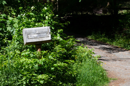 An image of a old metal mail box barely visible due to thick green vegetation growing around it.の写真素材