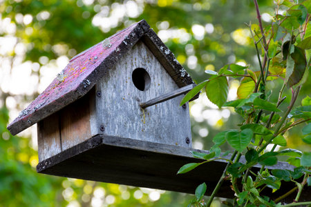 An image of an old retro styled bird house with sun bleached and faded wood.の写真素材