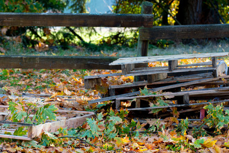 An image of a stack of old wooden shipping pallets piled loosely against an old wooden fence and covered on autumn colored leavesの写真素材