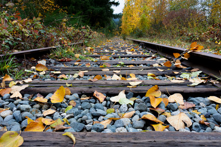 A low angle image of old abandoned train tracks covered in autumn leaves.の写真素材