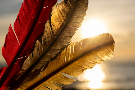 An image of three colorful smudge feathers held up against a beautiful calming sunset.の写真素材