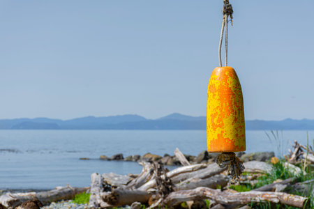 Orange fishing buoy hanging on a stick on the shore of the lake