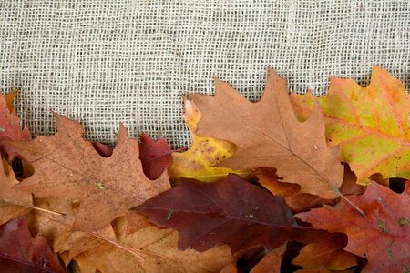 Autumn leaf on a natural fabric. The fallen orange foliageの写真素材