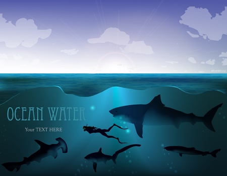 Sharks and scuba diver vectorのイラスト素材