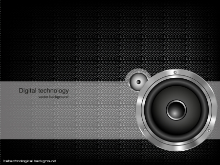 Party design element with speaker  Vector illustrationのイラスト素材