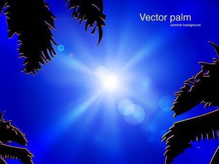   sun on blue sky with palmのイラスト素材