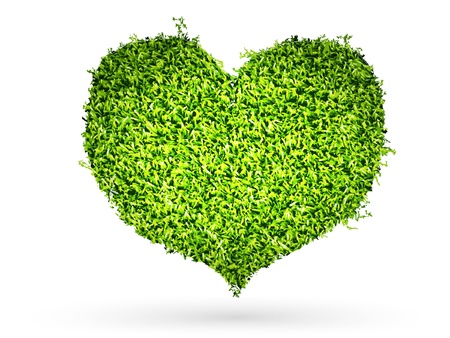 Grass heart symbol  Vector のイラスト素材