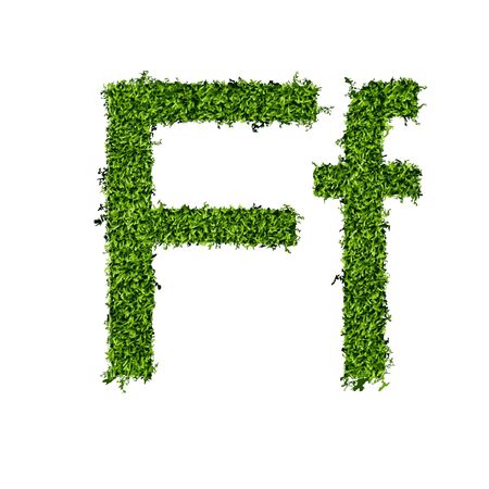 Isolated grass alphabet on white background  vector illustrationのイラスト素材