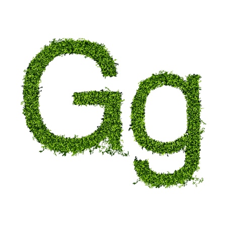 Isolated grass alphabet on white background  vector illustrationのイラスト素材