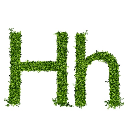 Isolated grass alphabet on white background  vector illustrationのイラスト素材