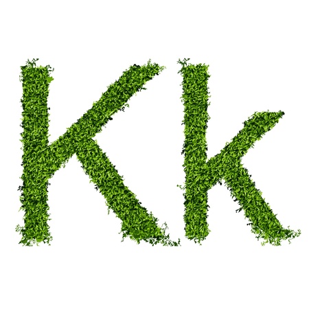 Isolated grass alphabet on white background  vector illustrationのイラスト素材