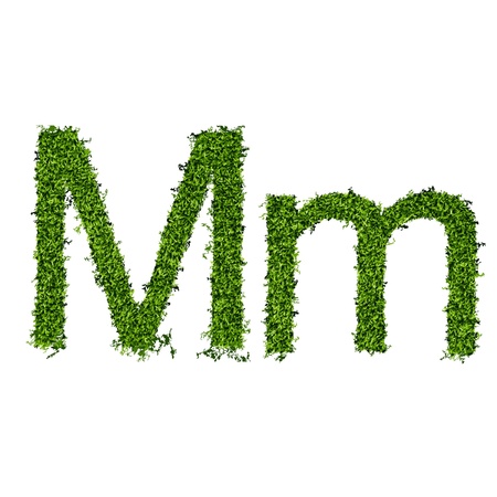 Isolated grass alphabet on white background  vector illustrationのイラスト素材
