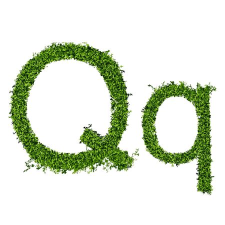 Isolated grass alphabet on white background  vector illustrationのイラスト素材