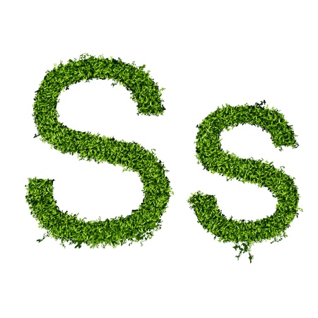 Isolated grass alphabet on white background  vector illustrationのイラスト素材