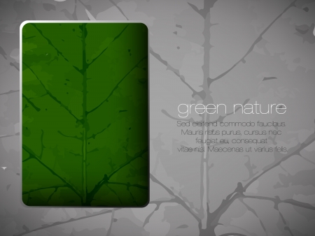 green eco backgroundのイラスト素材