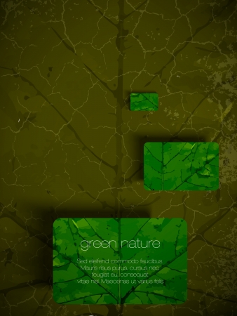 green eco backgroundのイラスト素材