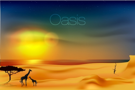 beautiful sunset at the oasisのイラスト素材