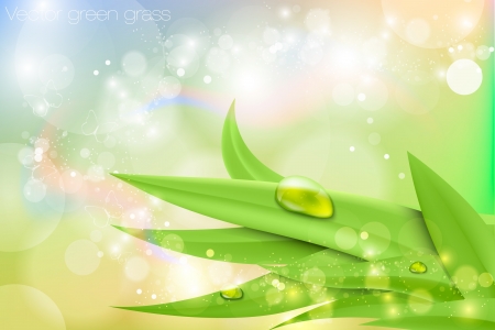 Vector background in pastel colors with green grass and dewのイラスト素材