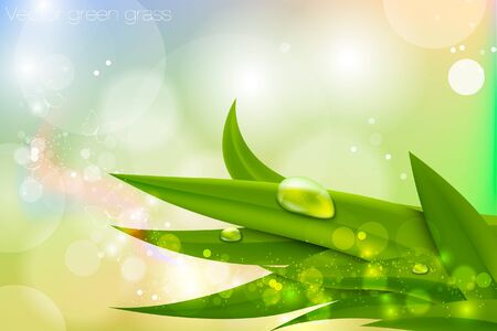 Vector background in pastel colors with green grass and dewのイラスト素材