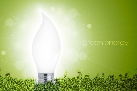Energy saving light bulb with a bright light in the grass  concept of ecologyのイラスト素材
