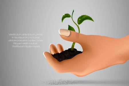 handful of ground with green sprout in her hands  concept of ecologyのイラスト素材