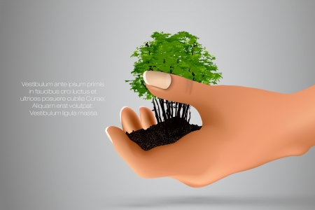 handful of ground with green sprout in her hands  concept of ecologyのイラスト素材