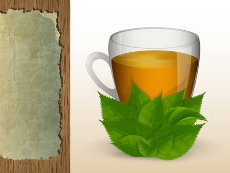  A glass cup of tea with mint leaves, presented in the form of menu boardsのイラスト素材