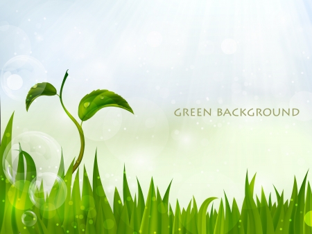 green, summer background with grass, and sun glareのイラスト素材