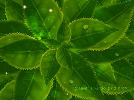 spring and summer background with green leavesのイラスト素材